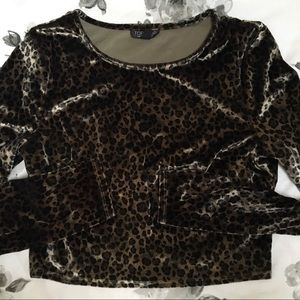 Cheetah Crop Top